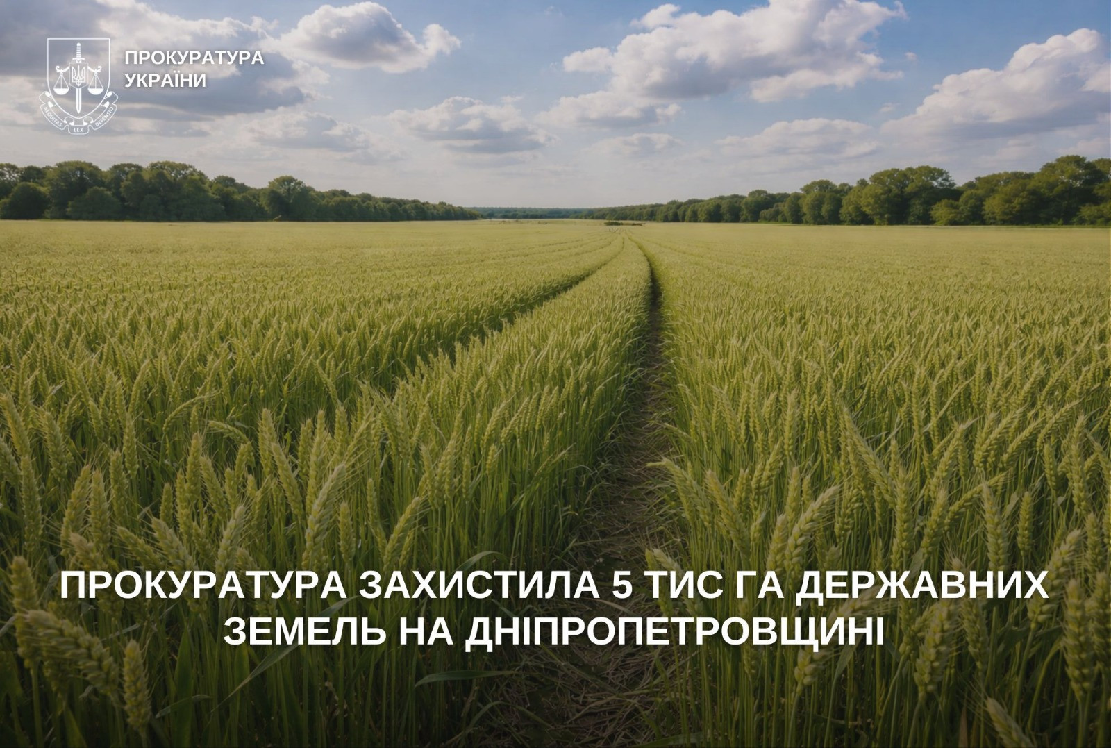 The prosecutor's office protected 5,000 hectares of state land in the Dnipropetrovsk region