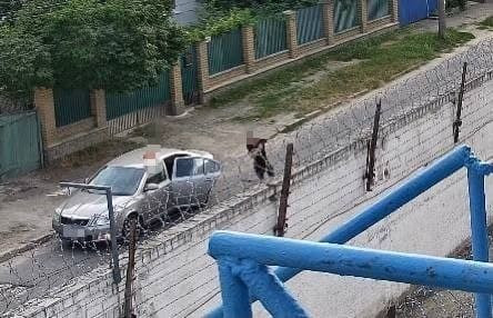 Поширення злочинного впливу та організація каналу постачання наркотиків у колонію –підозрюють «смотрящого» та спільників (ФОТО)