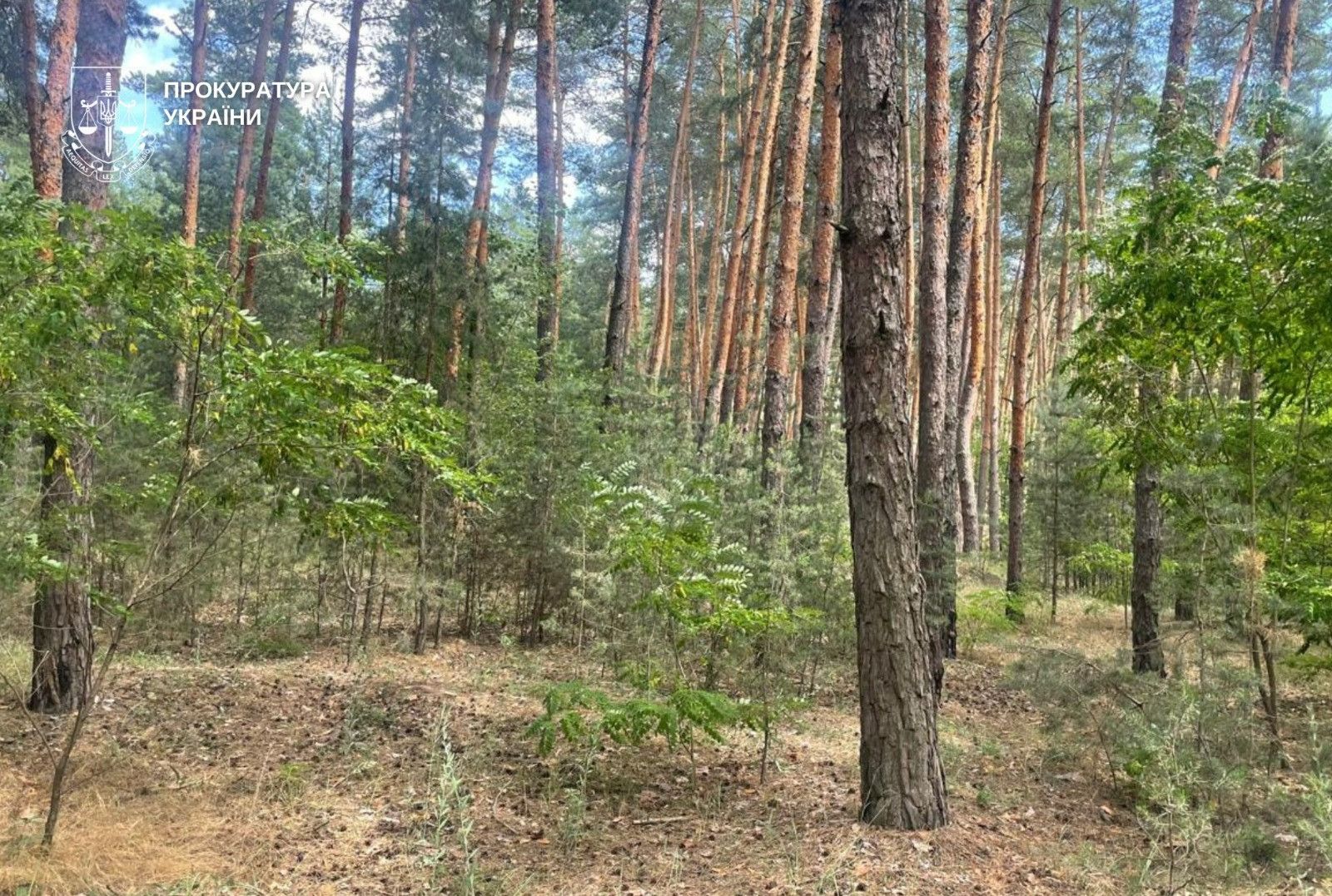 Прокуратура повертає державі незаконно приватизовані землі у прибережній захисній смузі Дніпра