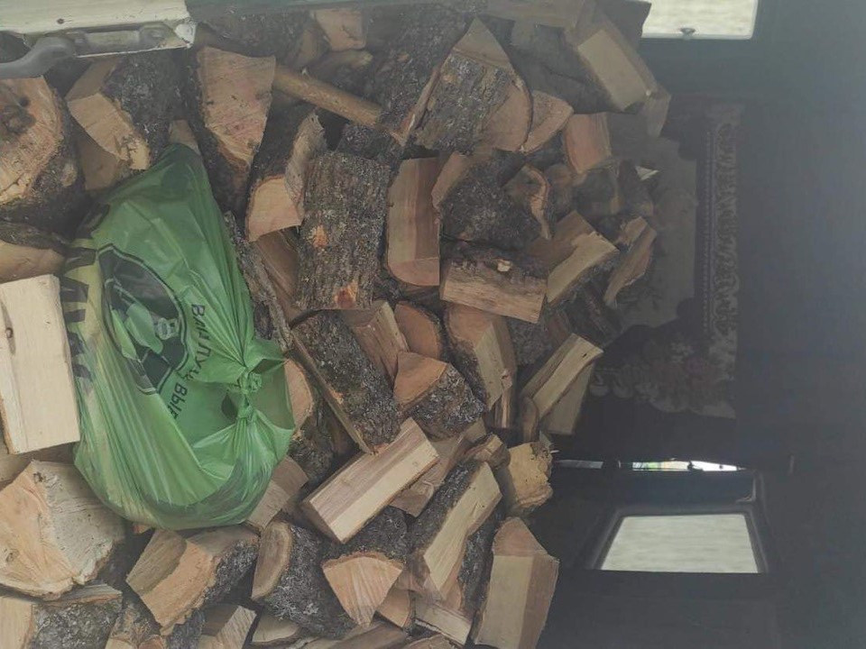 Порубка лісу на землях «Укрзалізниці» на 7 млн грн – підозрюють шістьох учасників організованої групи на Одещині