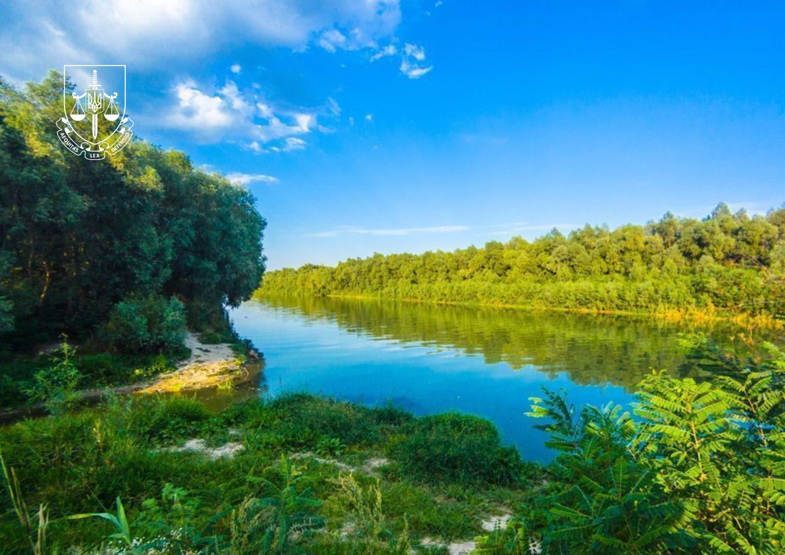The Environmental Prosecutor's Office returned to the state 11 hectares of land allocated for the creation of a nature reserve on the Danube