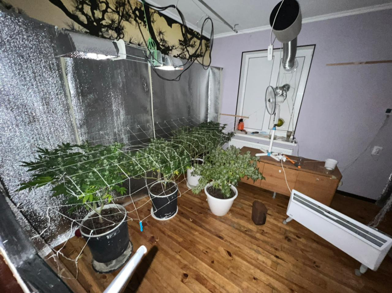 Амфетамін у парфумах та дитячих іграшках – викрито групу осіб