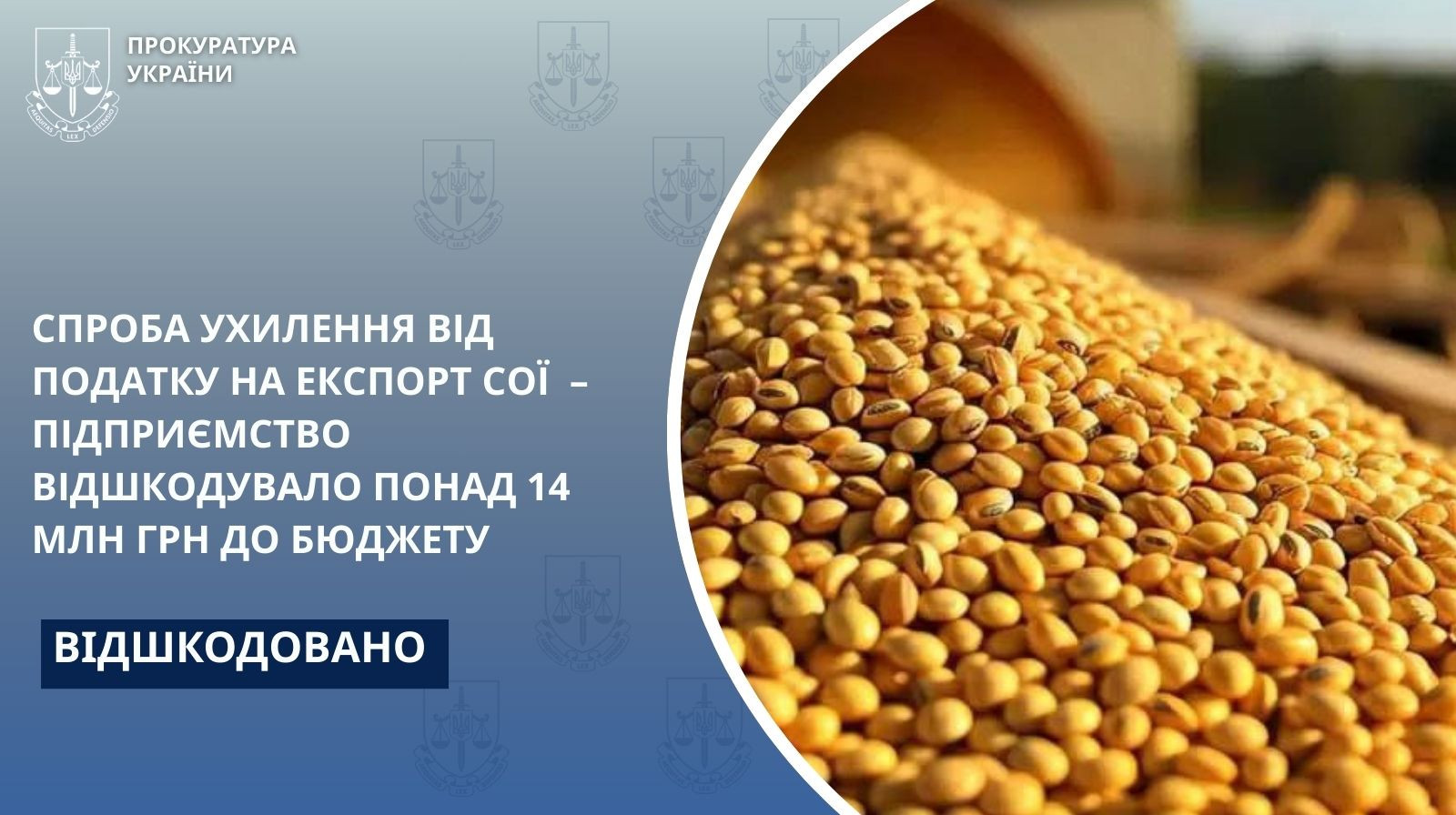 An attempt to evade the tax on the export of soybeans - the company reimbursed more than UAH 14 million to the budget