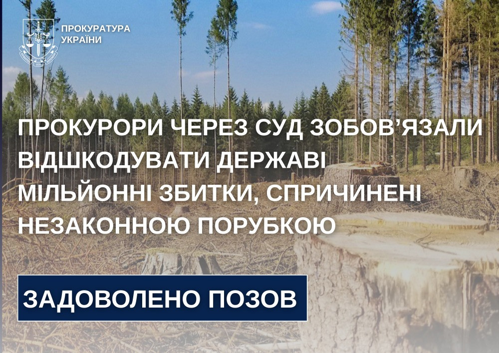 Prosecutors through court obliged the state to compensate for millions of losses caused by illegal felling