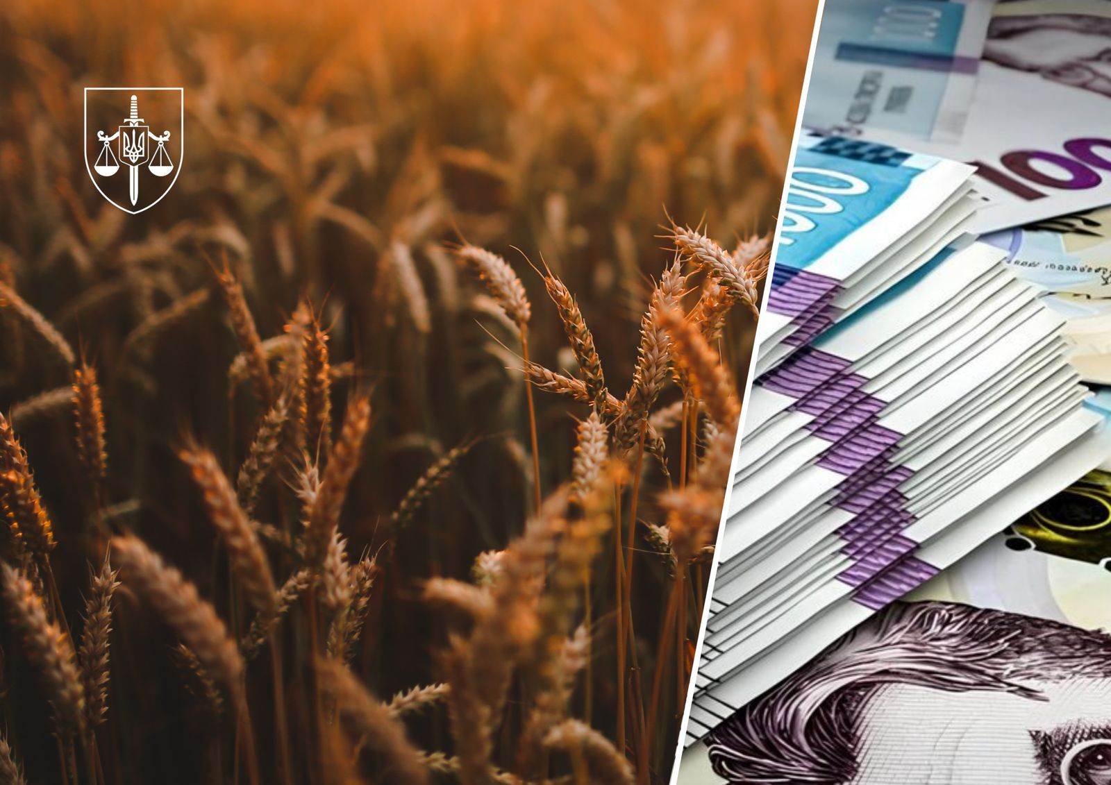 Затримано трьох учасників організованої групи, які через тіньові операції із зерном ухилилися від сплати понад 114 млн грн податків