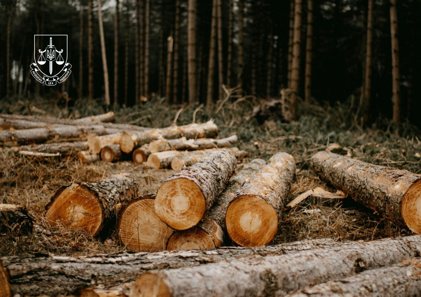 Three persons were notified of suspicion for removing forest land from state ownership